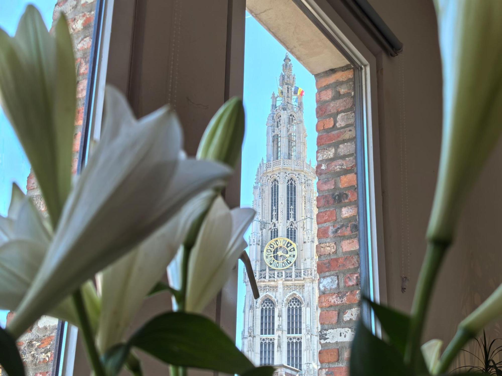 Historical Center Antwerp, All On Foot Esterno foto